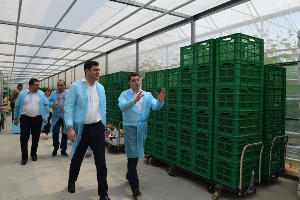 The governor visited two  enterprises in Gardabani