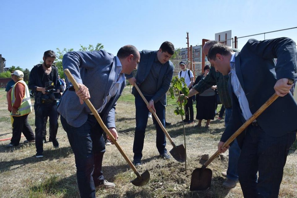 Grigol Nemsadze participated in the greenery action