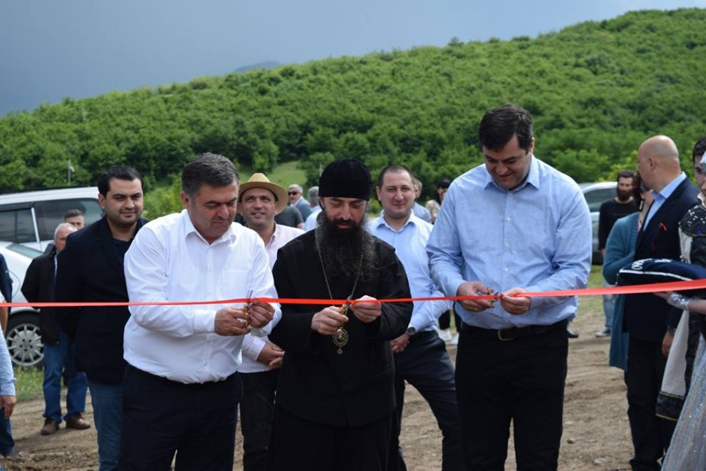 Vineyards were planted in Bolnisi municipality