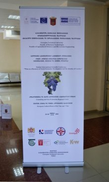 საერთაშორისო-სამეცნიერო კონფერენციაზე ქვემო ქართლში ღვინის უძველეს ისტორიაზე ისაუბრეს