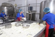 რძის გადამამუშავებელი საწარმოს მონახულება სოფელ გუმბათში